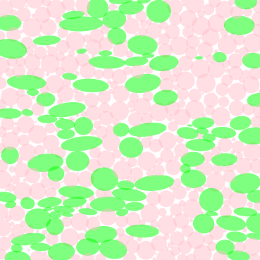 Seed geometries.